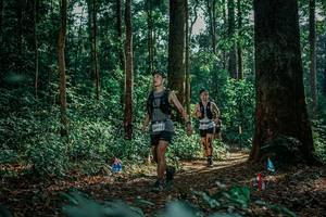 BIB: 
                            <button type="button" onclick="openModal(26133757)" class="btn btn-primary btn-sm float-right btn-popup" data-toggle="modal" data-target=".modal-high-quality">
                        <i class="fas fa-shopping-cart"></i> Add to Cart
                    </button>
                                            <button type="button" onclick="isThisMe(26133757, true)" class="btn btn-success btn-sm float-right btn-popup btn-isme hidden" data-toggle="tooltip" data-placement="bottom" title="นี่คือรูปของคุณใช่ไหม คลิกที่นี่เพื่อเอาเข้าอัลบั้ม">
                        <i class="fas fa-plus"></i> Add to album
                    </button>
                    <button type="button" onclick="isThisMe(26133757, false)" class="btn btn-warning btn-sm float-right btn-popup btn-isnotme hidden">
                        <i class="fas fa-ban"></i> Remove from album
                    </button>